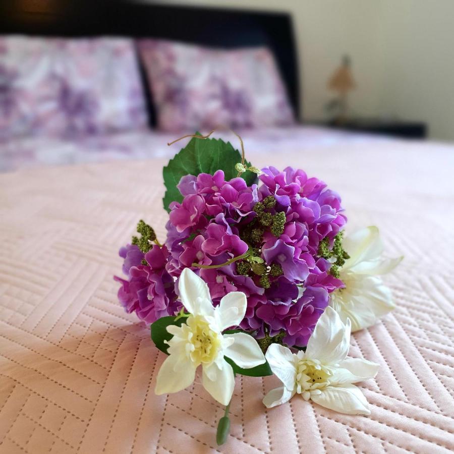 Owls Nest Townhouse Villa Paphos ภายนอก รูปภาพ